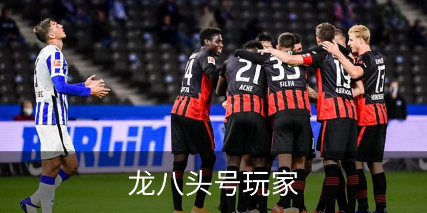 了解龙八头号玩家